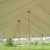 Celina Tent 20' x 40' Presto Series Pole Canopy, 1 Piece Tent Top, Complete, outdoor event tent with sturdy poles and a durable beige fabric covering, set up on a grassy field.