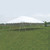 20' x 40' Presto Series Pole Canopy, 1 Piece Tent Top, Complete