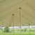 20' x 40' Presto Series Pole Canopy, 1 Piece Tent Top, Complete