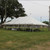 Celina Tent 30' x 45' Classic Series Pole Tent, Sectional Tent Top, Complete, white outdoor event tent set up on a grassy field with trees and cloudy sky in the background.