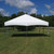 Celina Tent 20' x 20' Master Series Frame Tent, 1 Piece Tent Top, complete, set up outdoors on grassy field with trees and blue sky in background.