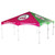Celina Tent 20' x 20' Master Series Frame Tent, 1 Piece Tent Top, complete, outdoor event tent with pink and green canopy and white frame.