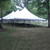 Celina Tent 40' x 80' Premiere II Series High Peak Pole Tent, Sectional Tent Top, Complete, large white outdoor event tent set up on grass in a park with trees in the background.