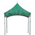 Celina Tent 10' x 10' Pinnacle Series High Peak Frame Tent / Cross Cable Marquee Full Digital Print, Complete, green high peak frame tent with metal poles and full digital printed canopy.