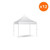 Celina Tent 10' X 10' Fast Shade, white pop-up canopy tent with a peaked roof, set up with twelve units for outdoor shading and shelter.