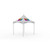 Celina Tent 10' x 10' Pinnacle Full Print Event Ready, a white event tent with colorful printed canopy for outdoor gatherings and events.