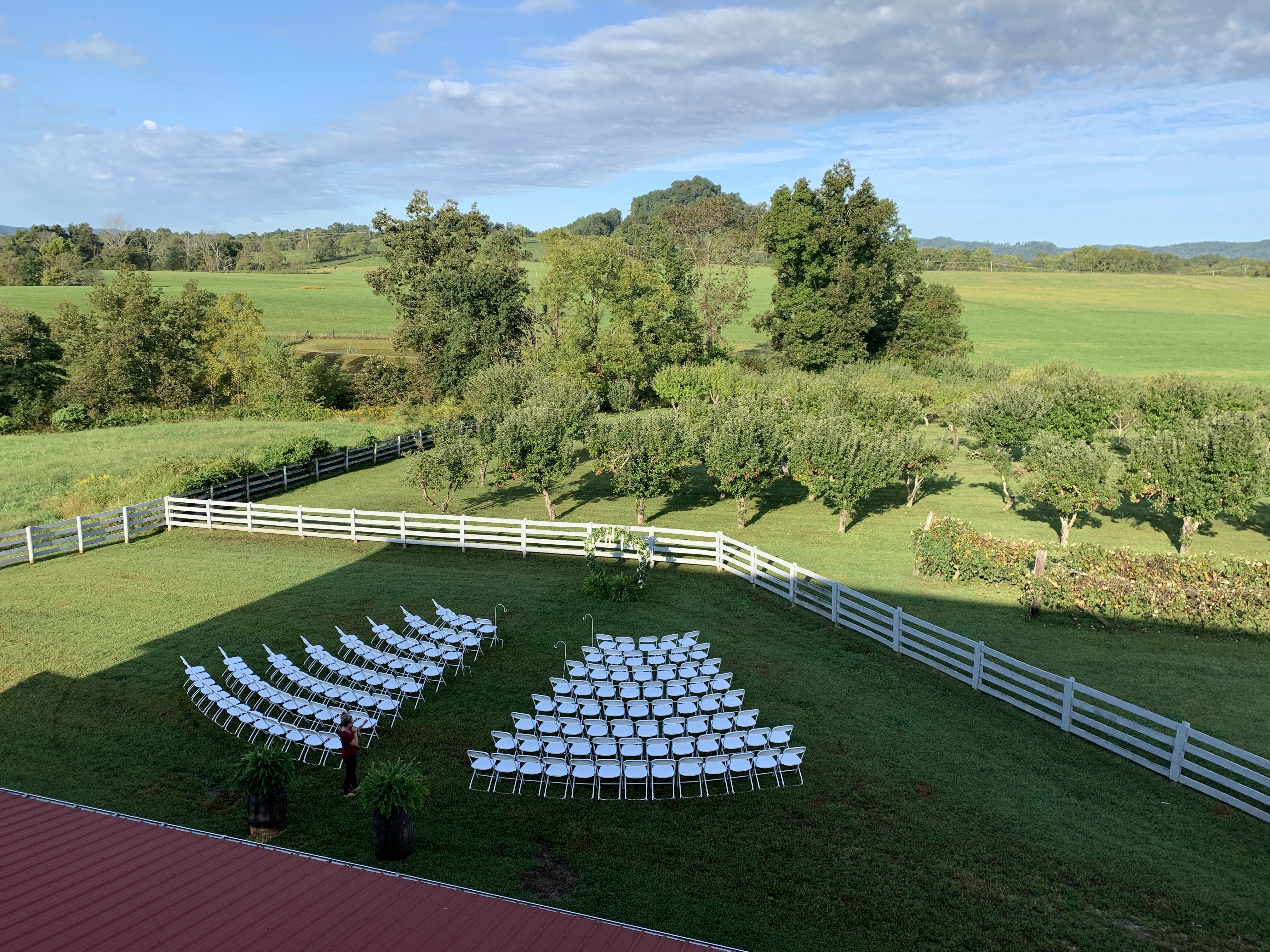 Celina party folding chairs for events
