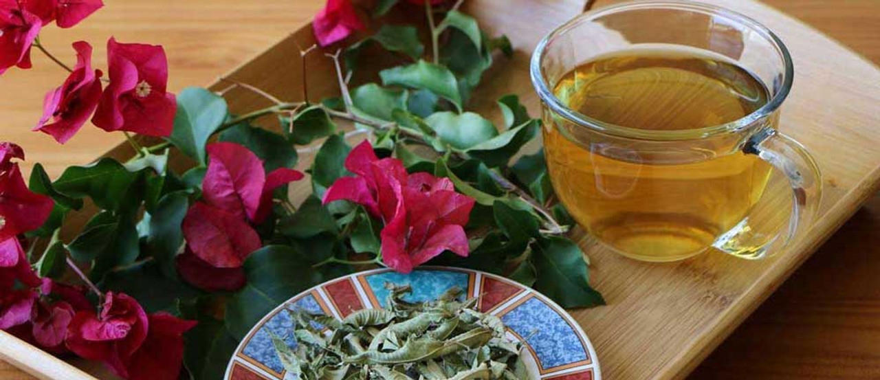 Lemon Verbena Leaf Tea by Tea Haven