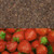 Strawberry Roasted Yerba Mate