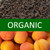 Organic Apricot Pu-erh Tea