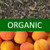 Organic Apricot White Tea