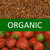 Organic Strawberry Rooibos Tea