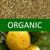 Organic Earl Grey Green Rooibos Tea