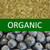 Organic Blueberry Yerba Mate