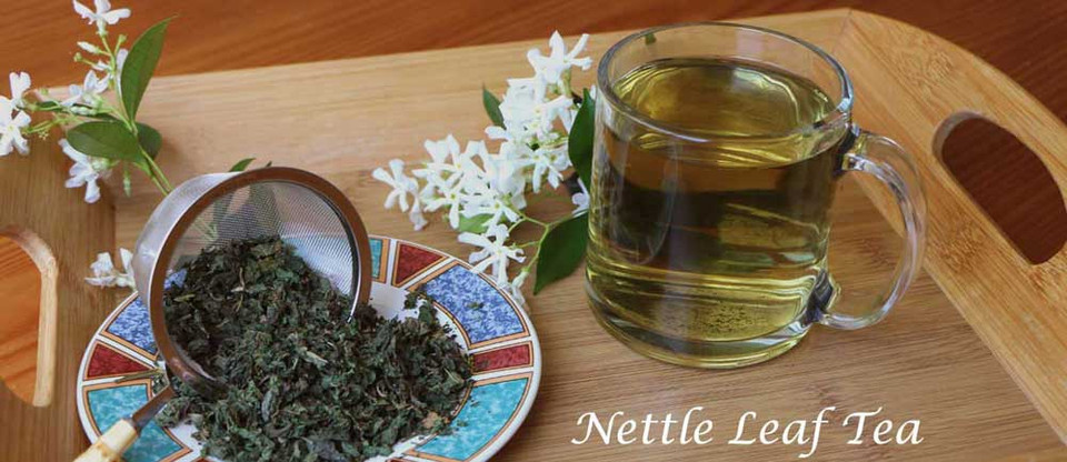 Nrlen Tea Tea Haven - Premium Teas, Herbs, Special Blends