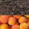 Apricot Flavored Oolong Tea