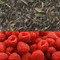 Raspberry Flavored White Tea