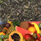 Tropical Fruits Flavored White Tea