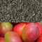 Mango Flavored Green Tea