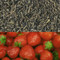 Strawberry Flavored Green Tea