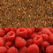 Raspberry Flavored Rooibos Tea