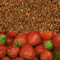 Strawberry Flavored Rooibos Tea