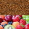 Summer Fruits Flavored Rooibos Tea