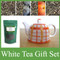 Tea Haven White Tea Gift Set