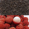 Lychee Flavored Black Tea