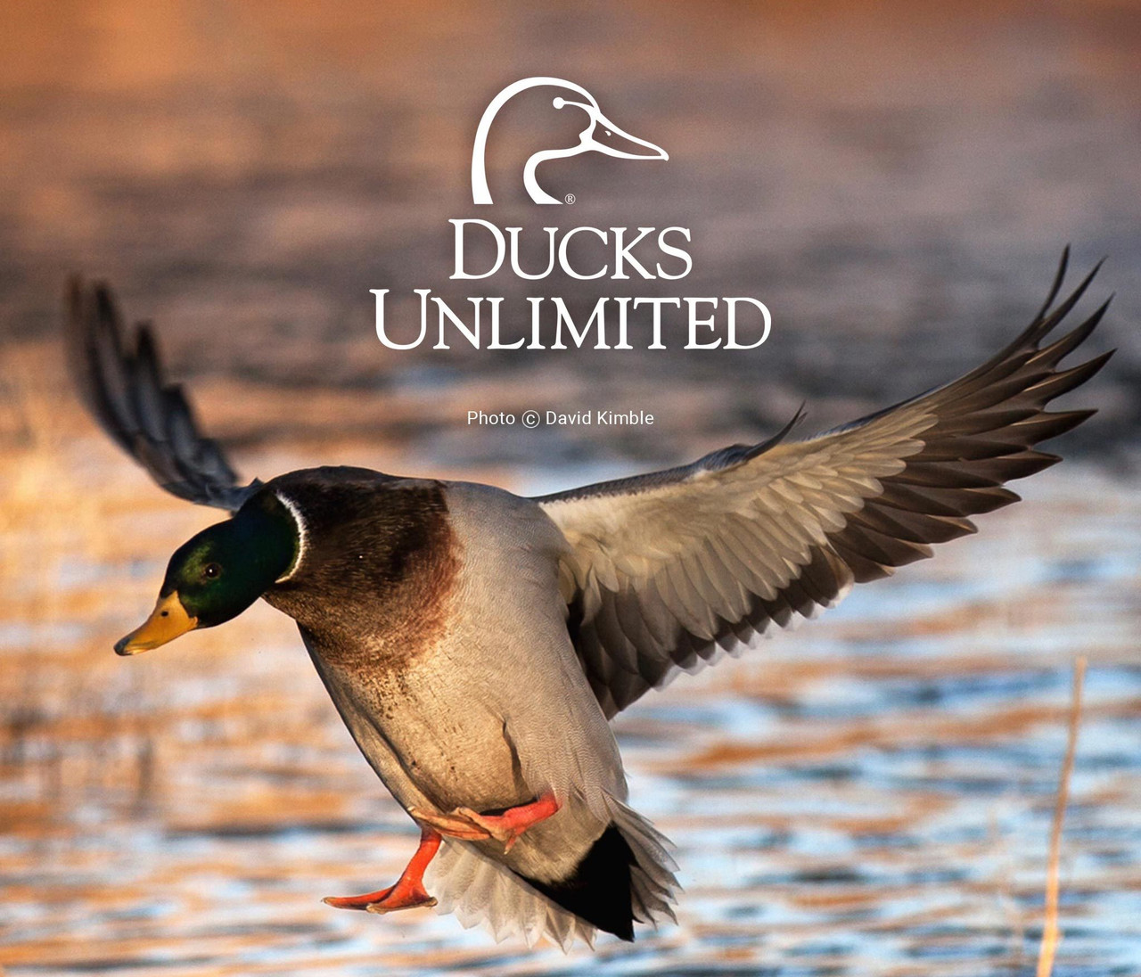 Home  Ducks Unlimited