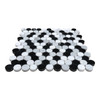 Carrara White Polished Marble Penny Round Mixed Mosaic Tile w/ Black and Dolomite Dots Sample