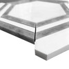 Thassos White Marble Georama Polished Hexagon with Bardiglio Gray Strips Mosaic Tile