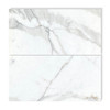 Calacatta Gold Italian Marble 18x36 Tile Honed
