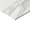 Calacatta Gold Italian Marble 24x48 Honed Tile