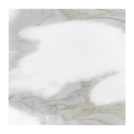 Calacatta Gold Italian Marble 12x12 Tile Honed