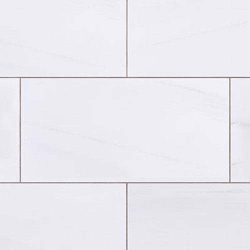 Bianco Dolomite Polished Marble 9x18 Subway Tile Sample