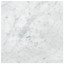 Carrara Marble Italian White Bianco Carrera 24x24 Marble Tile Honed