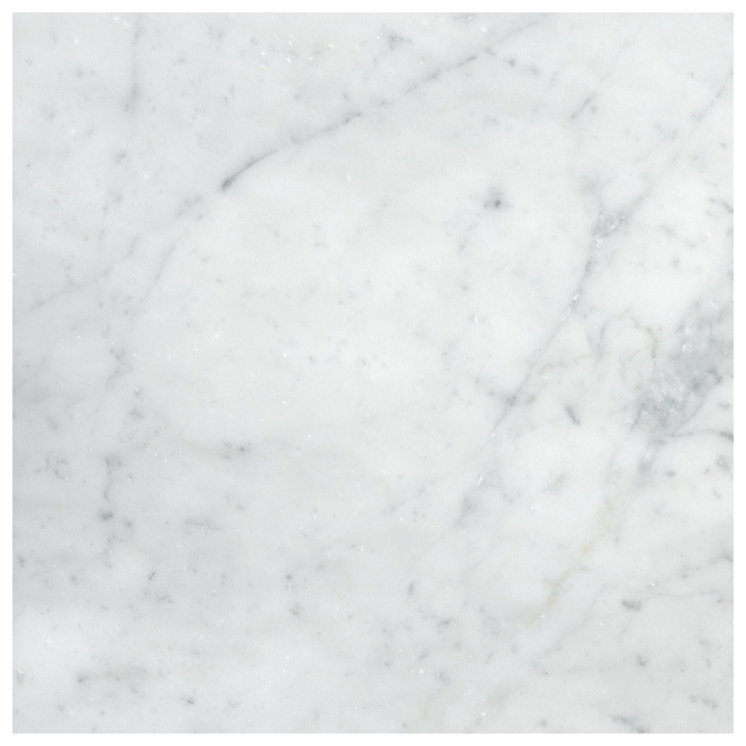 Carrara White Italian Marble 12x12 Tile Honed Sample