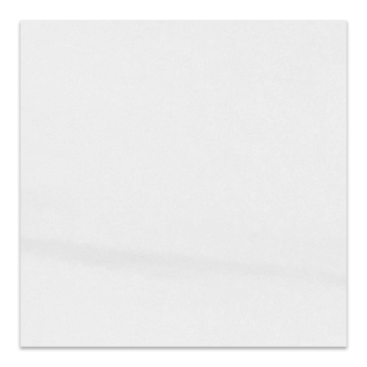 Bianco Dolomiti Marble Italian White Dolomite 24x24 Marble Tile Polished