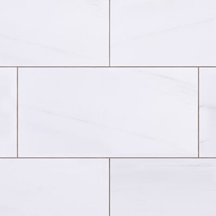 Bianco Dolomite Polished Marble 9x18 Subway Tile Sample