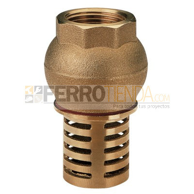 Valvula check  vertical con canastilla