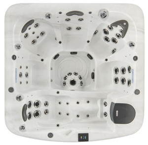 American Whirlpool 481 Bull Grills Spas