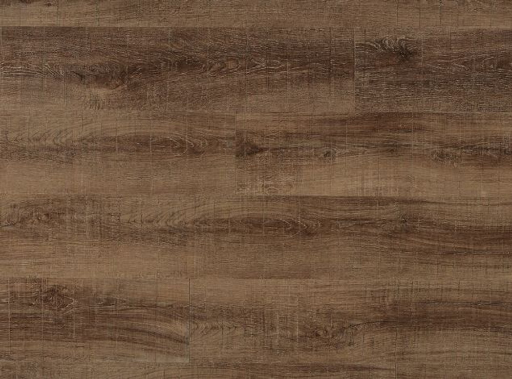 SAGINAW OAK VV024-00704