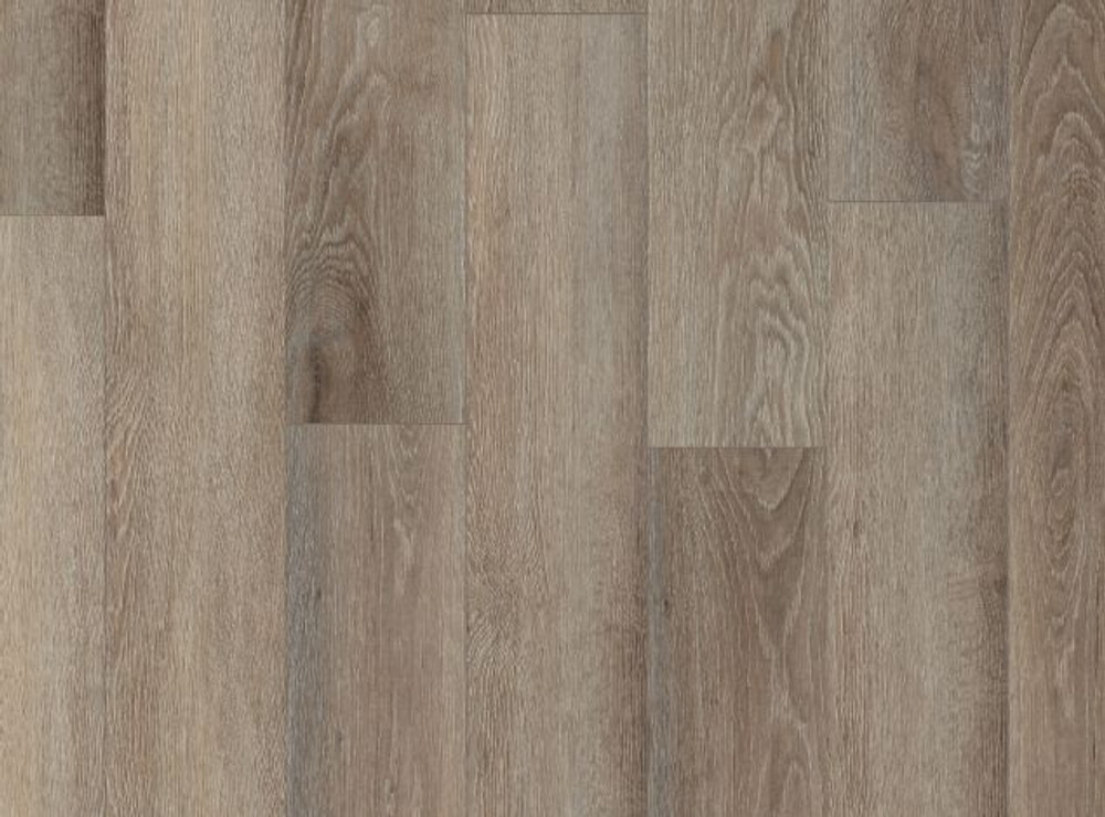 Palisade Oak VV489-02752