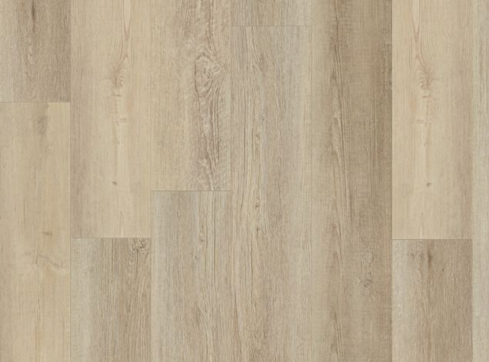 Spiral Pine VV465-02066