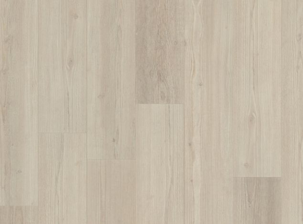 Sunflower Pine VV465-02065