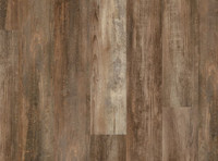 Cassablanca Pine VV490-01651