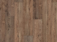 Sydney Oak VV491-02953