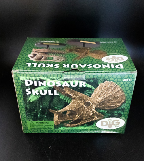 Dino Skull Dig Kit