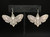 Silver Deaths Head Moth Earrings